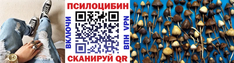 KRAKEN маркетплейс  Гай  Псилоцибиновые грибы Magic Shrooms 