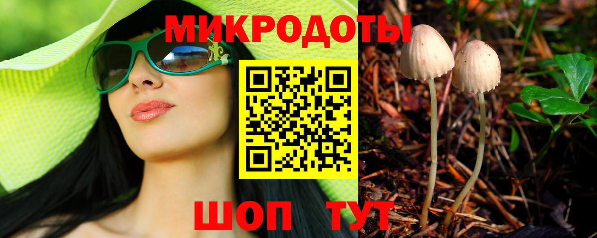 Гай  где купить наркотик  Вход с VPN  Псилоцибиновые грибы GOLDEN TEACHER 